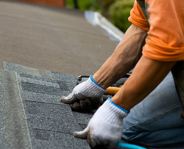 Best Roof Maintenance Services  in Marion, IA