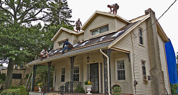 Best Storm Damage Roof Repair  in Marion, IA